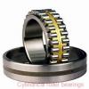 55 mm x 120 mm x 43 mm  SIGMA NUP 2311 cylindrical roller bearings