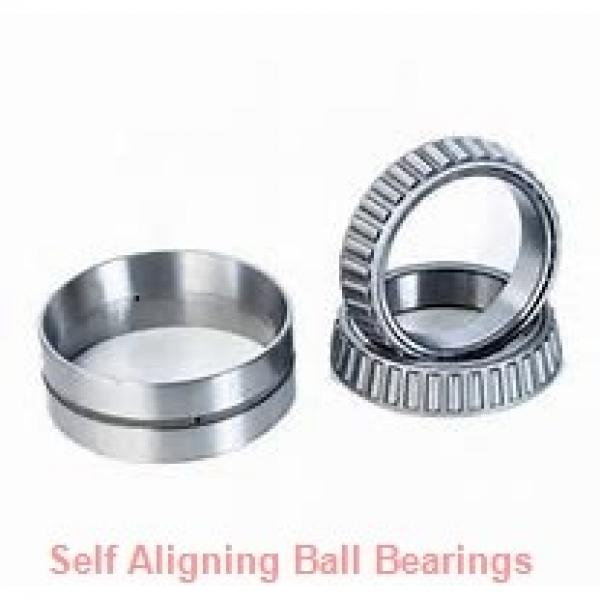 95 mm x 170 mm x 43 mm  ISO 2219 self aligning ball bearings #1 image